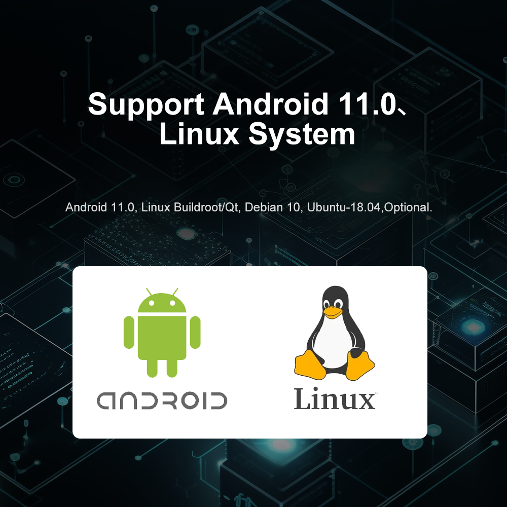 LIONTRON AW-Y3566 Smart AI Scale Motherboard