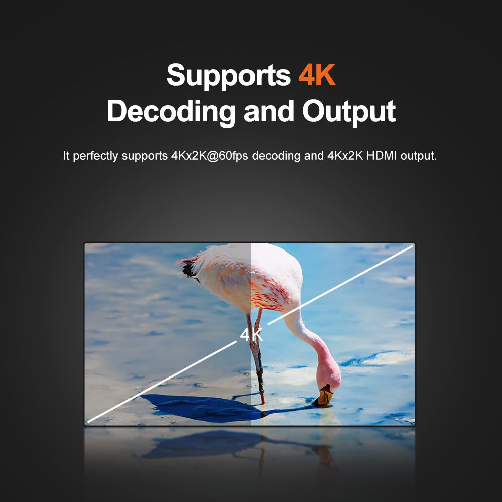 LIONTRON MS-Y3399 Screen Projector Motherboard