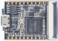 Sipeed Lichee Nano With 16M Flash 