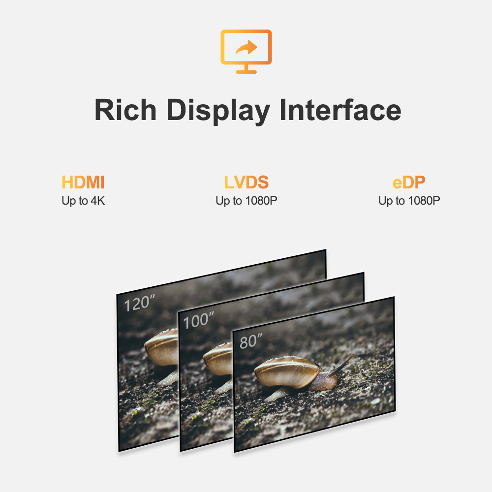 LIONTRON P2 POS Terminal Motherboard